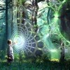 Логотип телеграм канала @transformrazbor11 — Трансформация реальности / Терапия Души