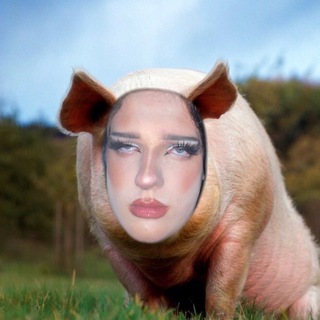 Логотип телеграм канала @transic_oo — barebuh💩🐷