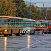 Логотип телеграм канала @transportmaneu — ТРАНСПОРТМАНИЯ