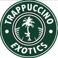 Logo saluran telegram trappuccinojokesup1 — Trappuccino jokesup