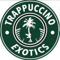 Logo saluran telegram trappuccinojokesup1 — Trappuccino jokesup