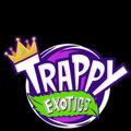 የቴሌግራም ቻናል አርማ trappyexoticszz — Trappy Exotics official 🍀⛽️
