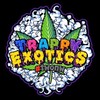 Logo of telegram channel trappyogs — Trappy exotics