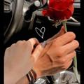 Telegram channel 🌹ɹ̤ᓗgȷ ❤ᓄȊؤɹ̈✉ logo