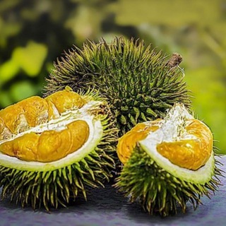 Telegram channel Путешествуй 🛩🚢🗿🗺 logo