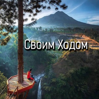 Логотип телеграм канала @travel_svoim_hodom — Своим Ходом 🗺