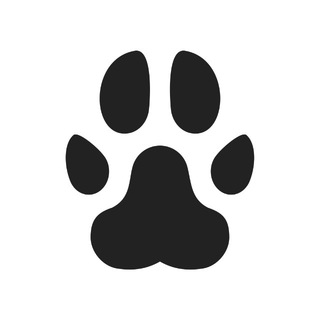 Логотип телеграм канала @travel_toptg — Животные | Природа | Путешествия