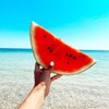 Логотип телеграм канала @travelandmeal — Вкус путешествий | Россия и мир