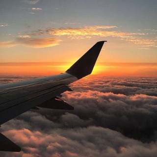 Логотип телеграм канала @travelliveblog — И целого мира мало 🌏