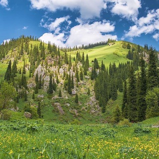 Логотип телеграм канала @travelqazaqstan — TravelBlog.kz