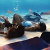 Логотип телеграм канала @travelsvibes — Жилич Ольга/Атмосфера путешествий🌍✈️🏝️
