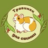 Логотип телеграм канала @travinki_svinke — травинки для свинки🌾 | сено и засушка