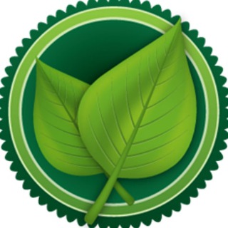 Логотип телеграм канала @travnikdom — Дом Травника 🌿