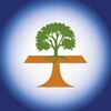 Логотип телеграм канала @tree_pro — TreePro | озеленение | арбористика | ландшафт