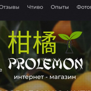 Логотип телеграм канала @treecitrus — Лимоны 🍋 цитрусовые деревья.