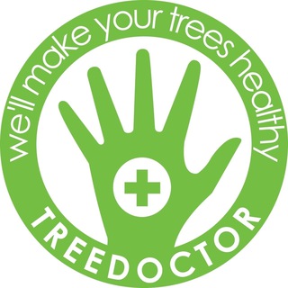 Логотип телеграм канала @treedoctor_zvonka — Treedoctor