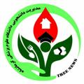 Logo saluran telegram treenews — 🔴 درخت نیوز 🔴