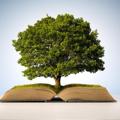 የቴሌግራም ቻናል አርማ treeofknowledge777 — Tree of Knowledge