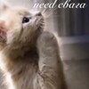 Логотип телеграм канала @treepsizzee — наркотическийтрип