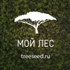 Логотип телеграм канала @treeseednews — Семена растений, саженцы