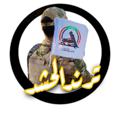 Logo saluran telegram trendalhashed — ترٍندِ آلُِحٍشُدِ - Trend Alhashd