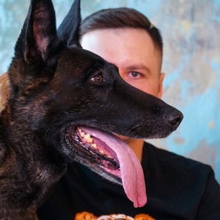 Логотип телеграм канала @trenersobak — trenersobak | всё о собаках