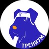 Логотип телеграм канала @trenium_school_math — Онлайн-школа Трениум | математика