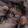 Логотип телеграм канала @treshgy — 🧸Вⷡсⷭё оⷪбⷠоⷪ вⷡсⷭёмⷨ 🎁