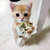 Логотип телеграм канала @tresssshhk — Красный Кут любит...