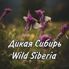 Логотип телеграм канала @tretyakov_foto — Дикая Сибирь | Wild Siberia