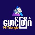 Logo saluran telegram triangle2008 — Mr.Triangle Football Predictions