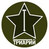 Логотип телеграм канала @triaryi — Триарий