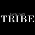 Logo saluran telegram tribesecretclub — TribeSecretClub - Pré-inscritos