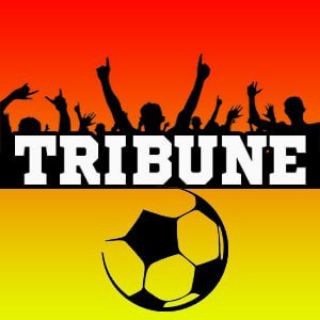 Логотип телеграм канала @tribuneee — TRIBUNE