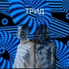Логотип телеграм канала @tridmusicband — ТРИД music band