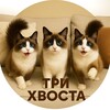 Логотип телеграм канала @trihvostaonline — Три Хвоста 🐱