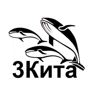 Логотип телеграм -каналу trikitanews — ✙ 🇺🇦 3Кита | Украина | Киев | Новости | Война