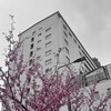 Логотип телеграм канала @trilsdy — трилсди долбаебка