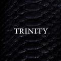 电报频道的标志 trinitylux — TRINITY LUX