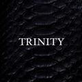 Логотип телеграм канала @trinitylux — TRINITY LUX
