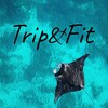 Логотип телеграм канала @trip2fit — Путешествия по всему миру