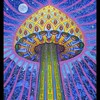 Telegram каналынын логотиби trippypsychedelicsmushrooms — Trippy Psychedelics Mushrooms
