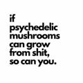 Logo saluran telegram trippyshroomgrower — Trippy Psychedelic Store