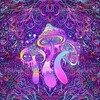 Logo of telegram channel trippytrippers420 — Trippy_Exotic_Psychedelic_house🍄🏴‍☠