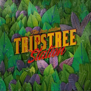 Logo of telegram channel trips_tree_station — ॐtrip's tree station🌱