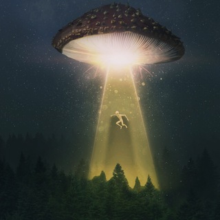 Логотип телеграм канала @tripsonic — ꓅꒓ꂑꉣꌚꆂꁹꂑꏸ ✨