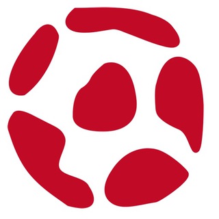 Telegram channel Trivela logo