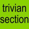 Логотип телеграм канала @triviansection — trivian💡s℮ction | BRAT ERA