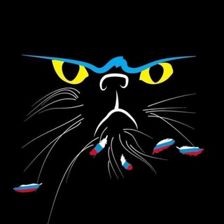 Логотип телеграм -каналу trkmart — МАРТівський кіт | Новини Миколаєва | Новости Николаева