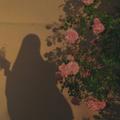 لوگوی کانال تلگرام trll2 — طَـرِيقُ الهُـدَىٰ'